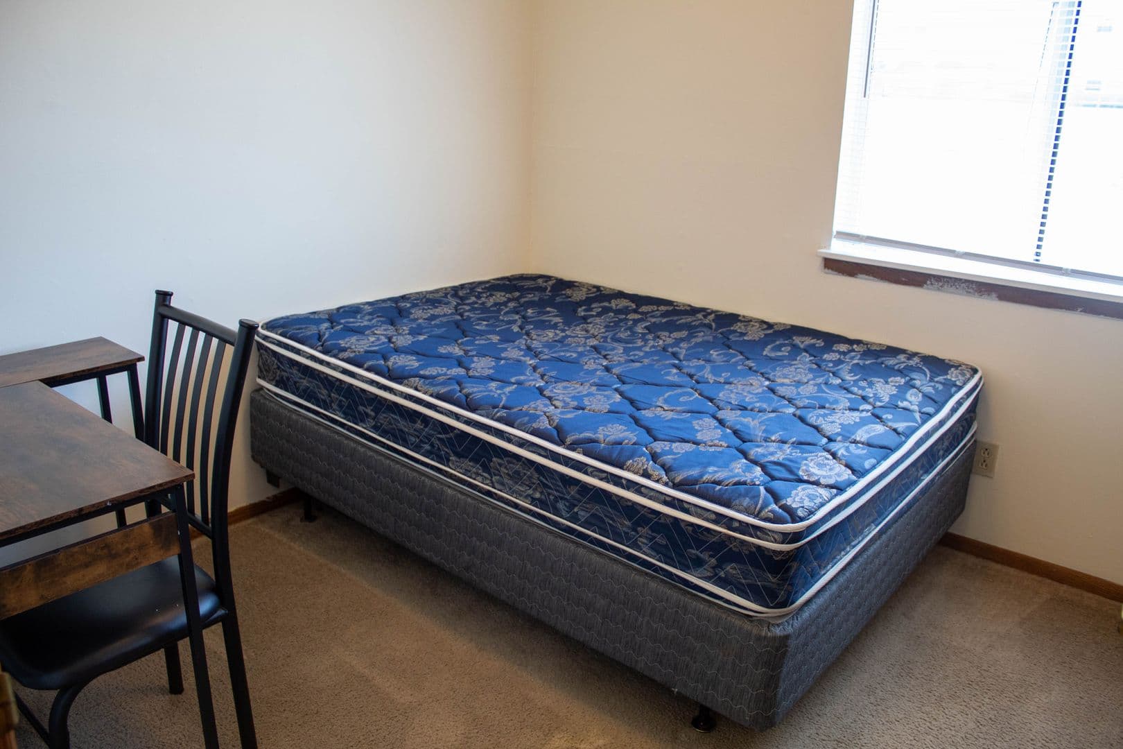 Urbana Apartment: 907 W Oregon