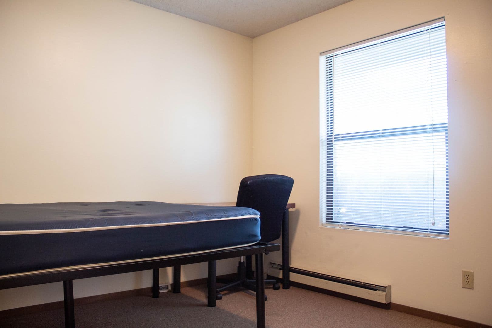 Urbana Apartment: 1001 W Clark