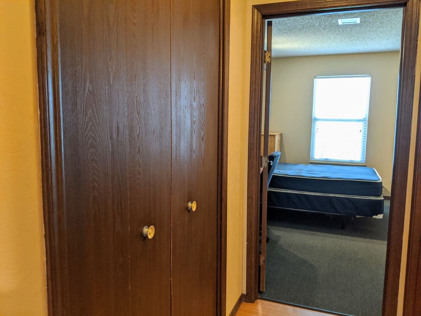 Champaign Apartment: 507 E White
