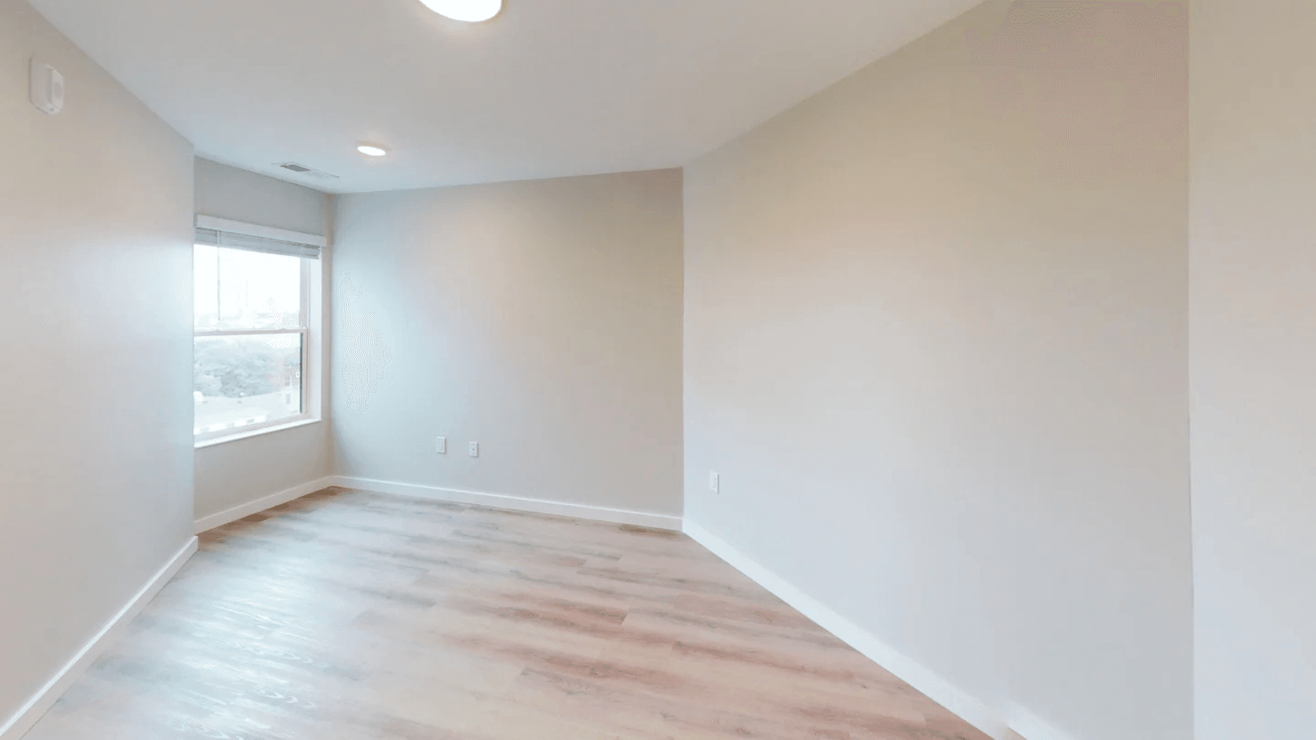 Champaign Apartment: 608 E Chalmers St