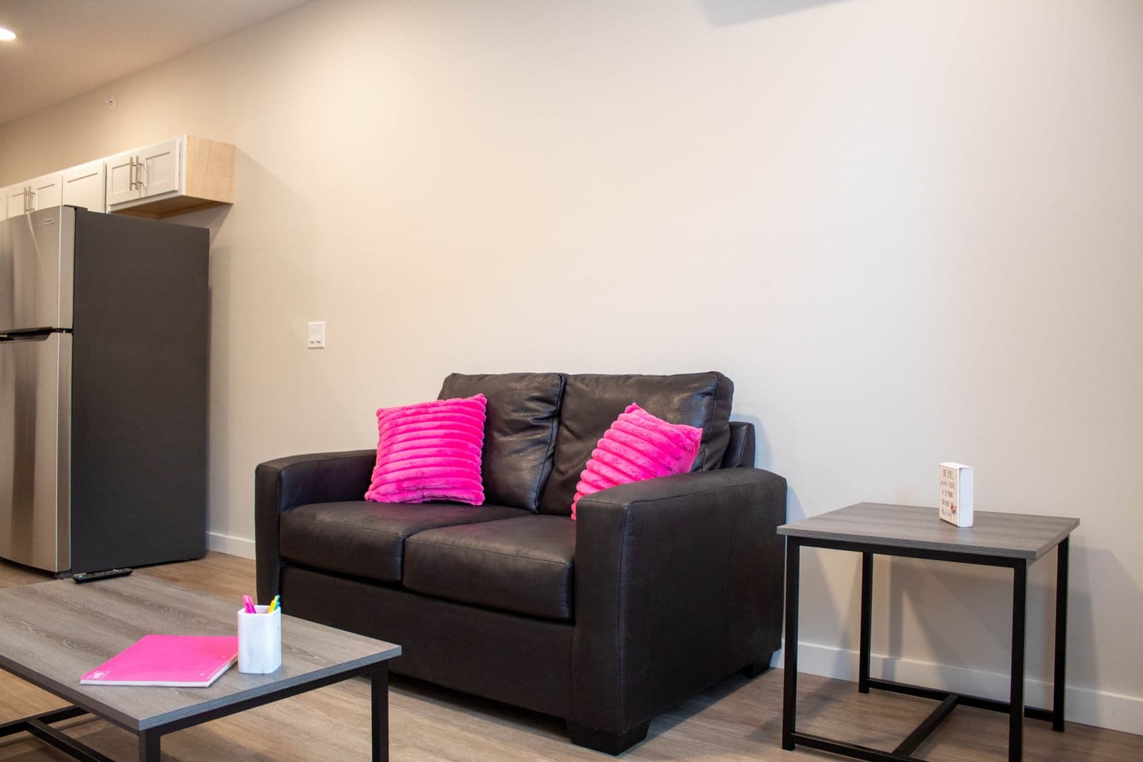Urbana Apartment: 1009 W Stoughton