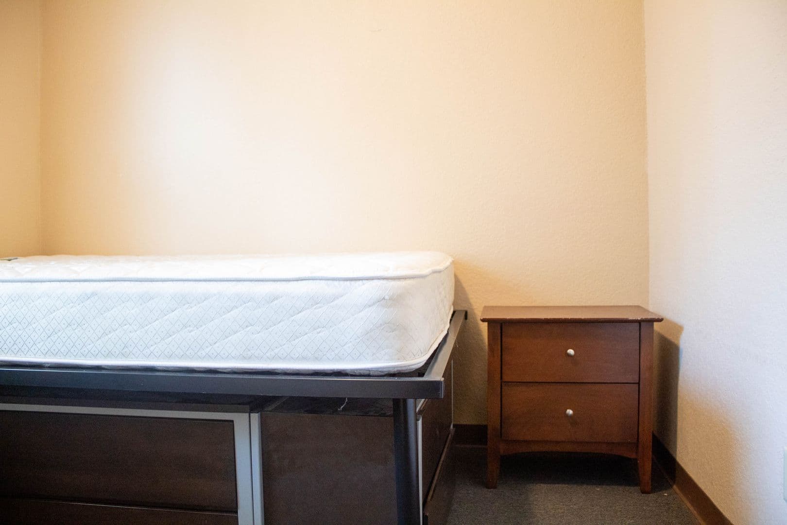 Champaign Apartment: 207 S Fifth