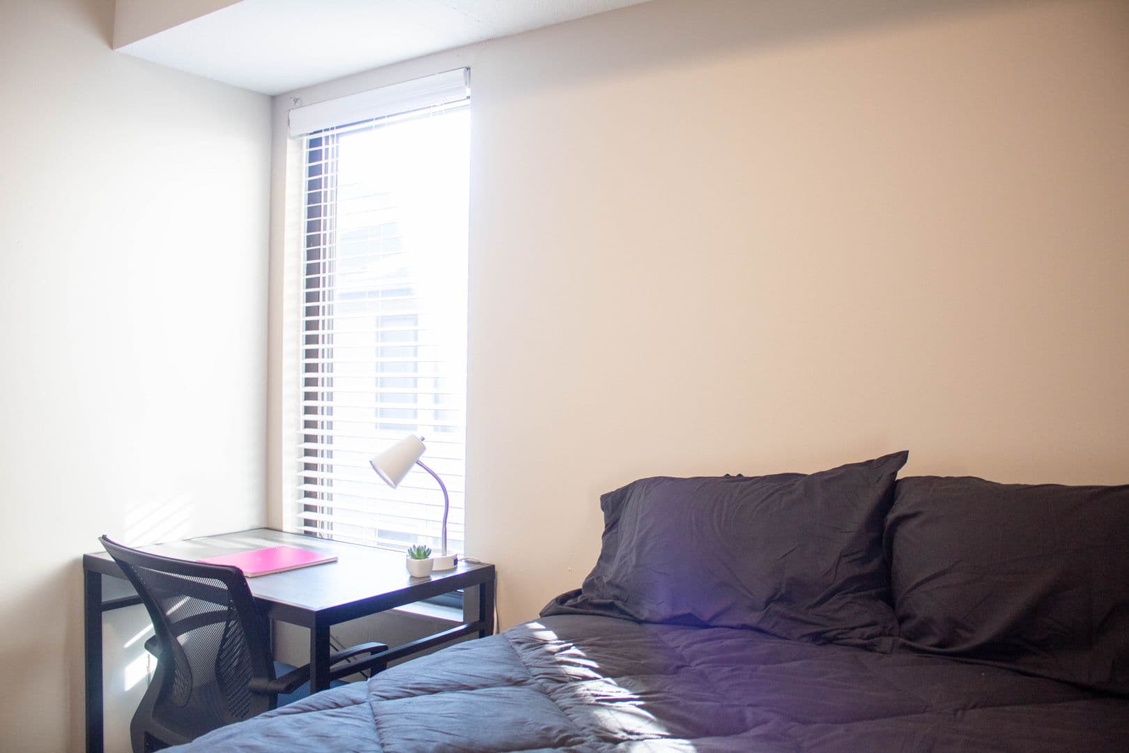 Urbana Apartment: 1010 W Stoughton