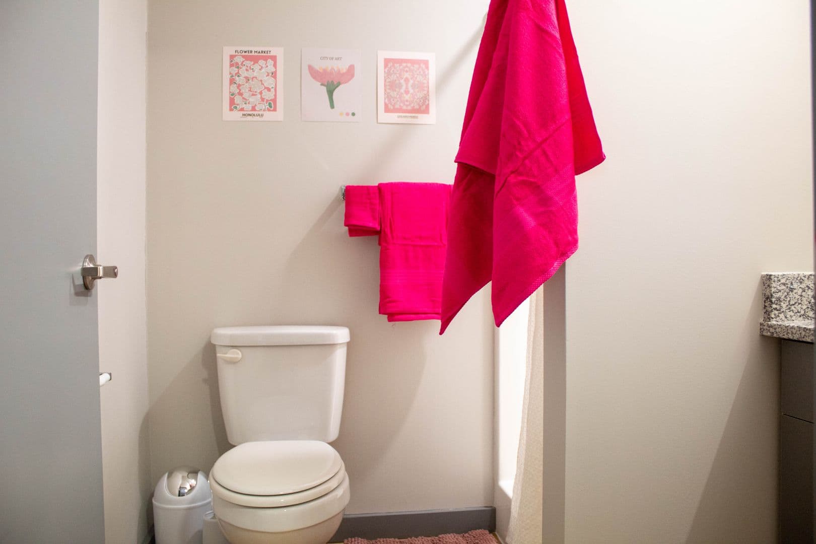 Champaign Apartment: 615 S Wright