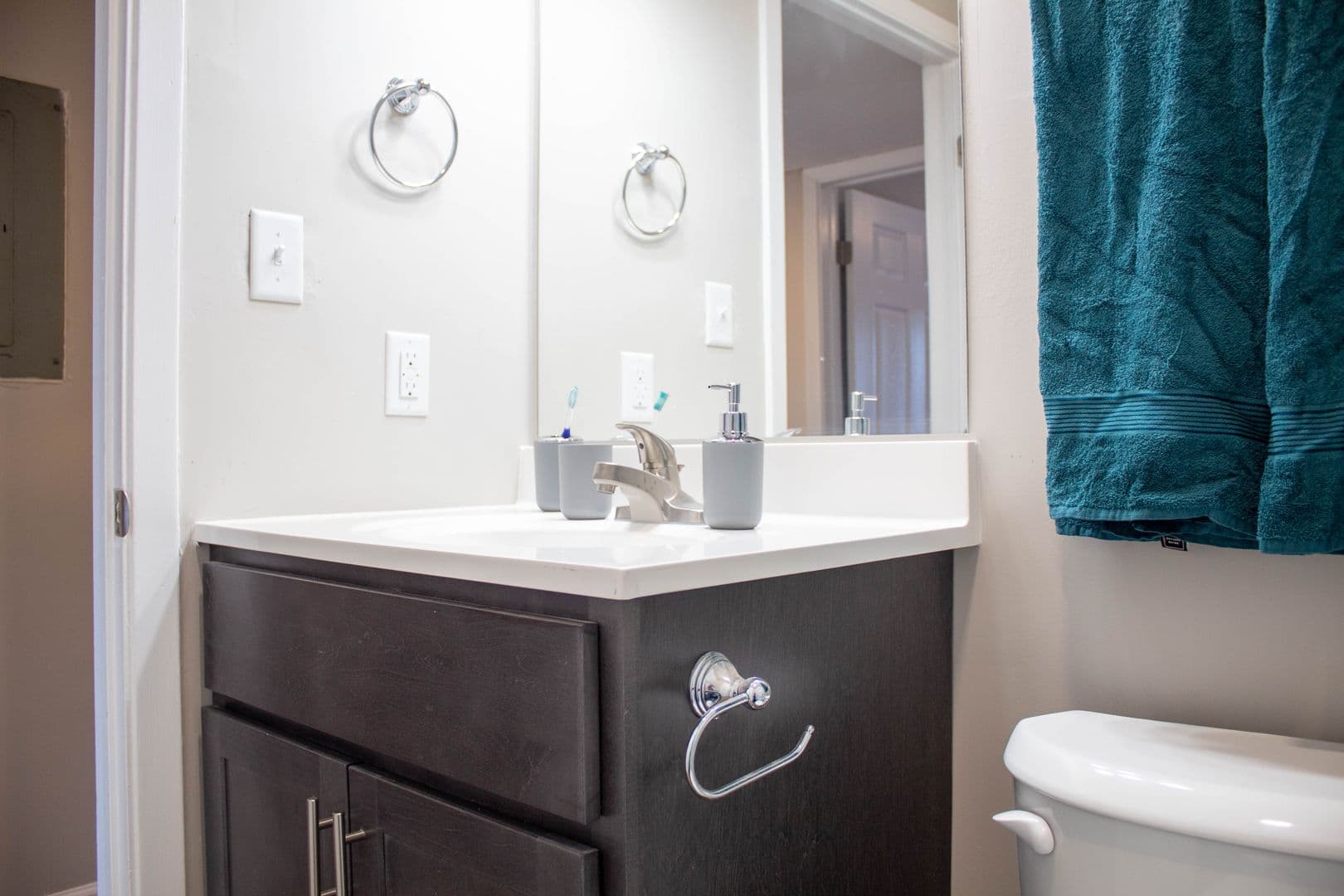 Champaign Apartment: 107 E Springfield Avenue