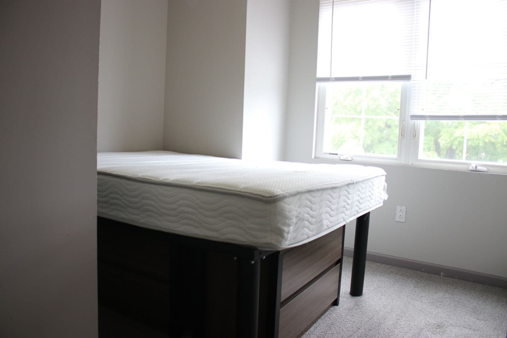 Urbana Apartment: 401 W Springfield
