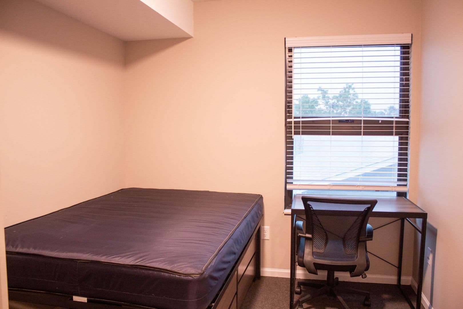 Urbana Apartment: 1010 W Stoughton