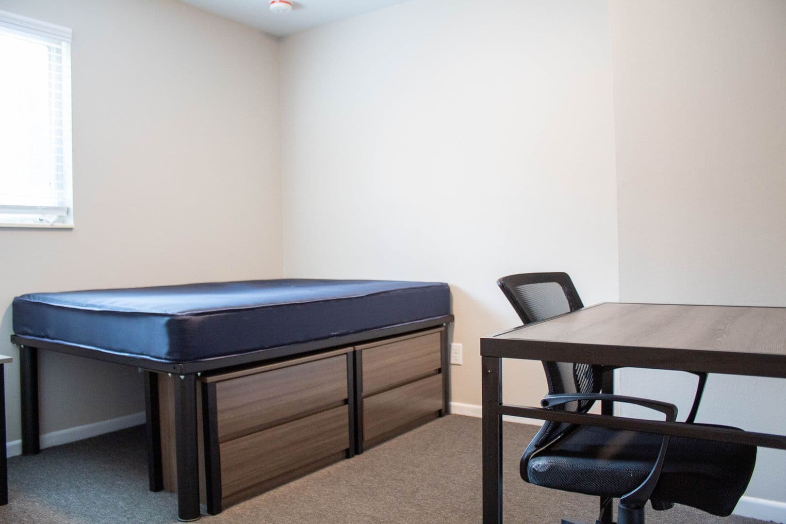Champaign Apartment: 202 E Chalmers St