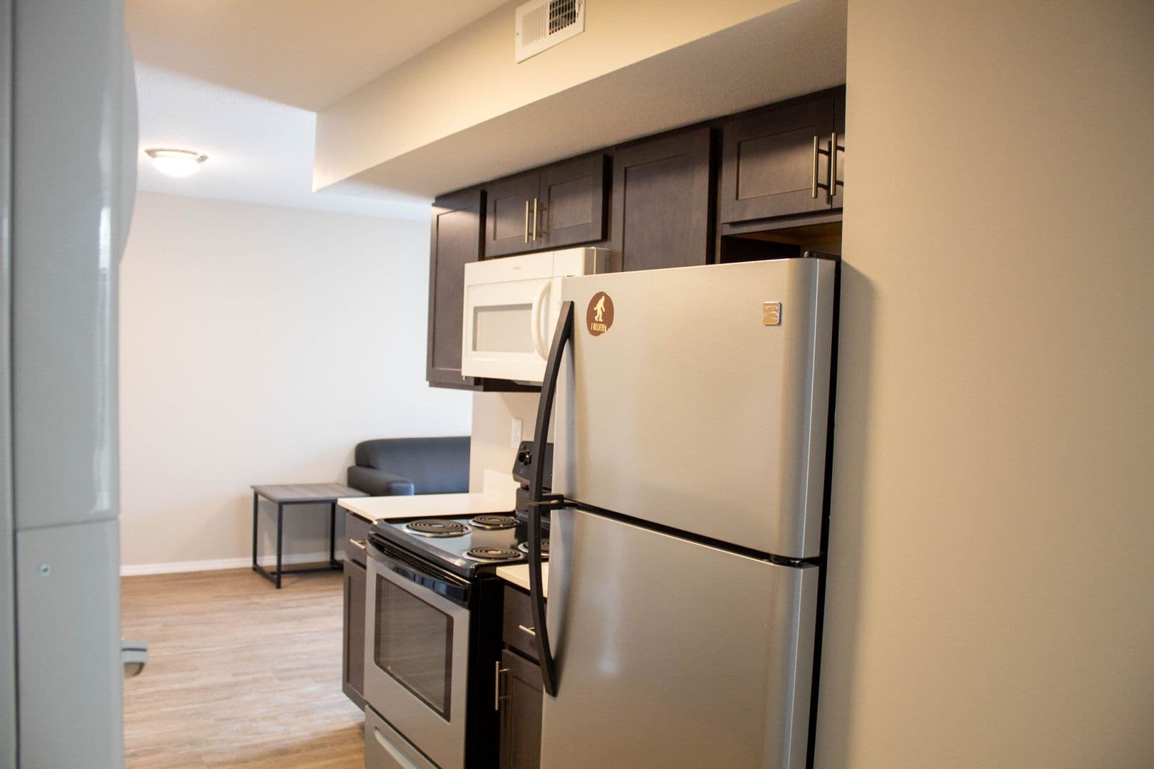 Champaign Apartment: 52 E Armory