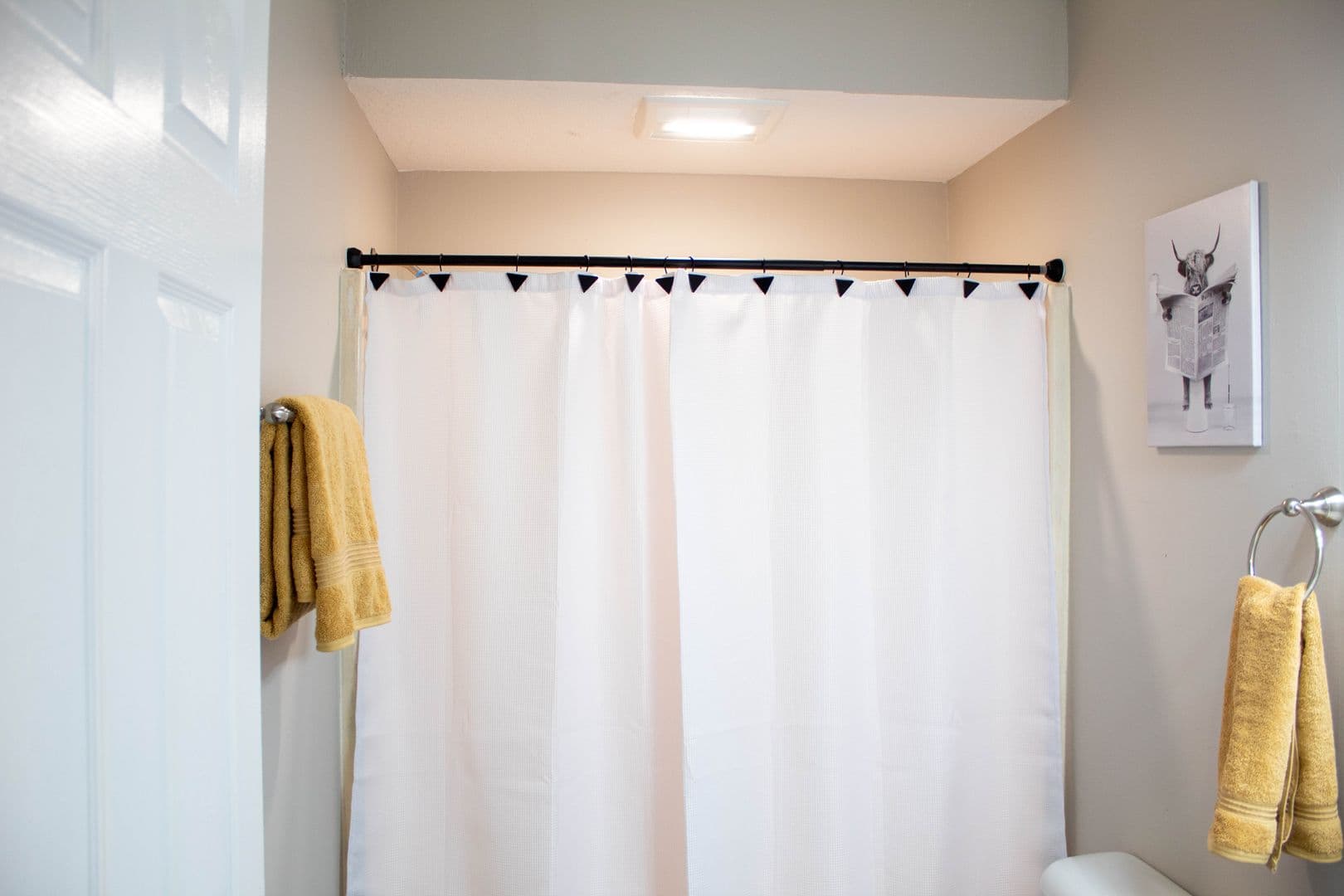Champaign Apartment: 48 E John