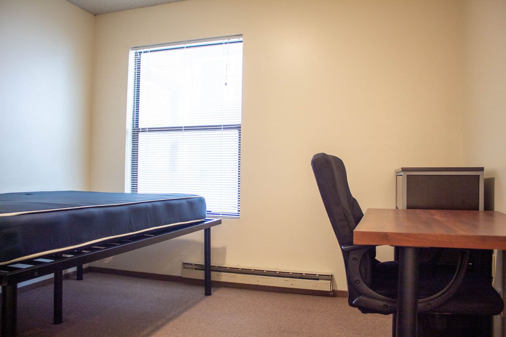 Urbana Apartment: 1001 W Clark