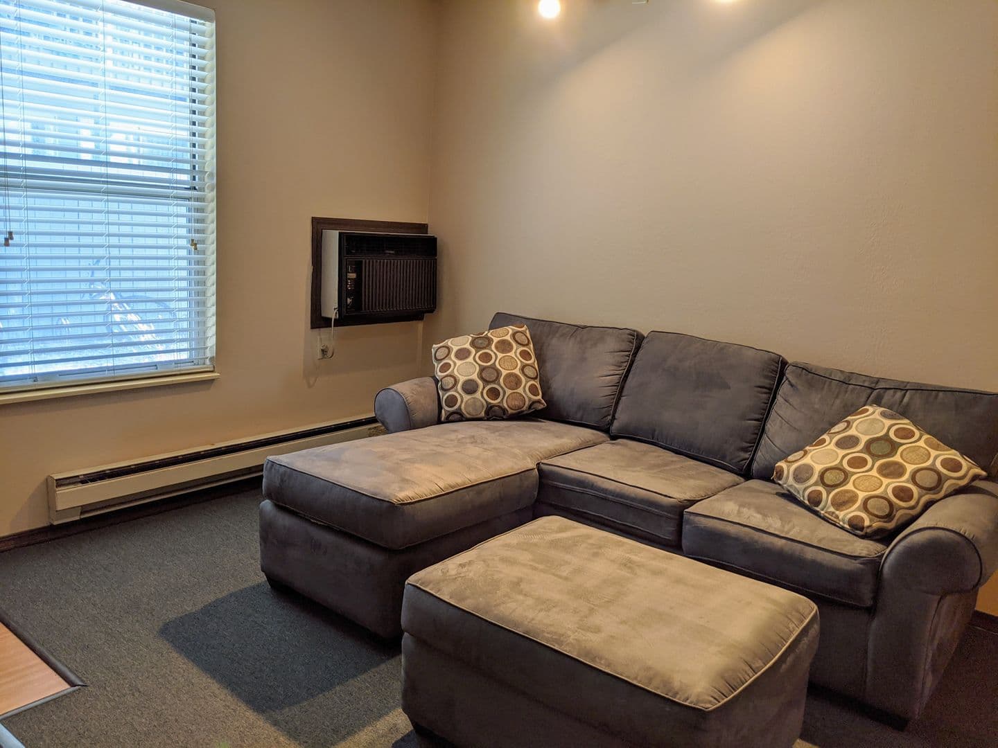 Champaign Apartment: 507 E White