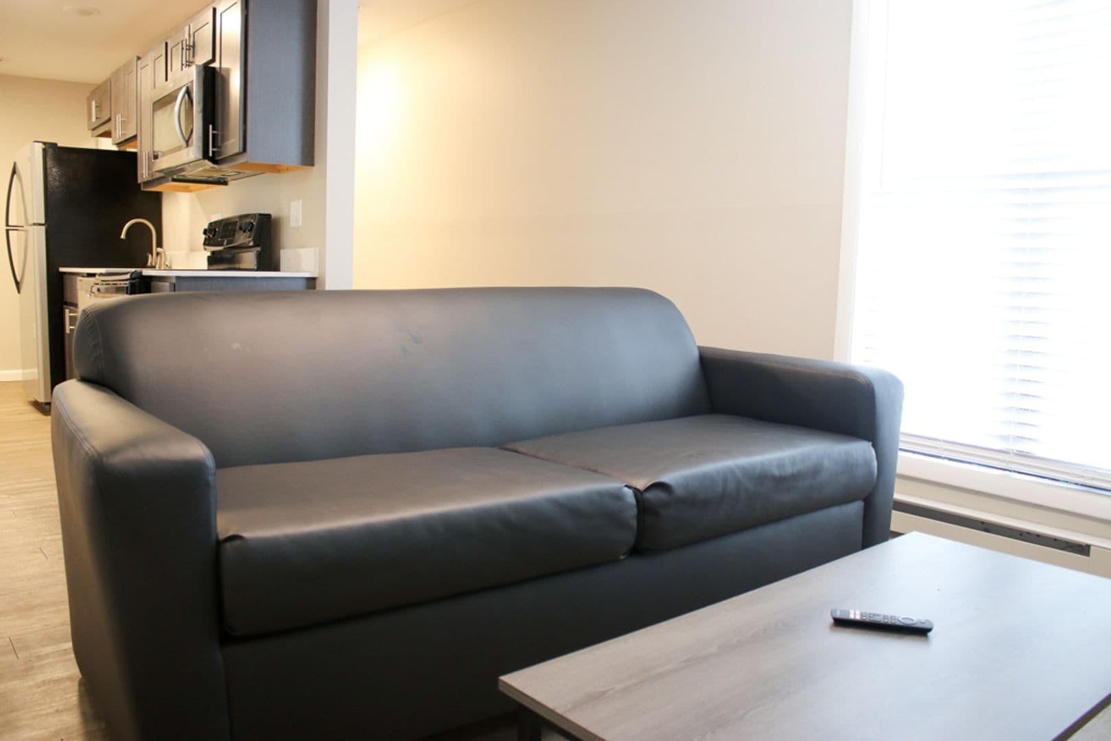 Urbana Apartment: 106 S Gregory Street