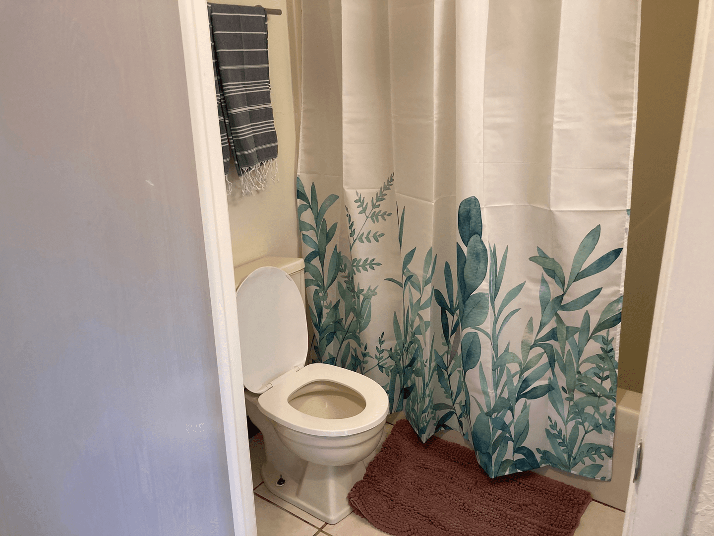 Urbana Apartment: 805 W Green Street