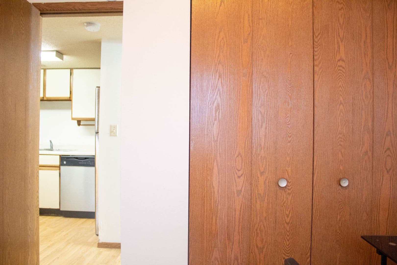 Urbana Apartment: 907 W Oregon
