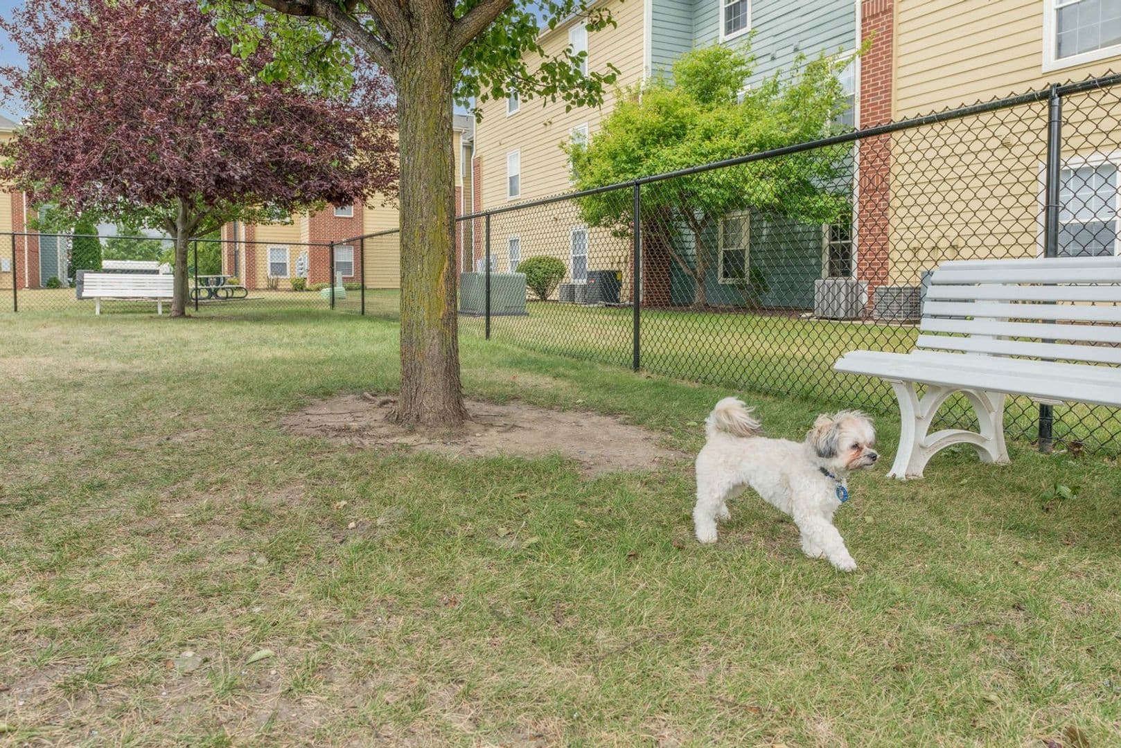 Savoy Apartment: 117 Sterling Ct