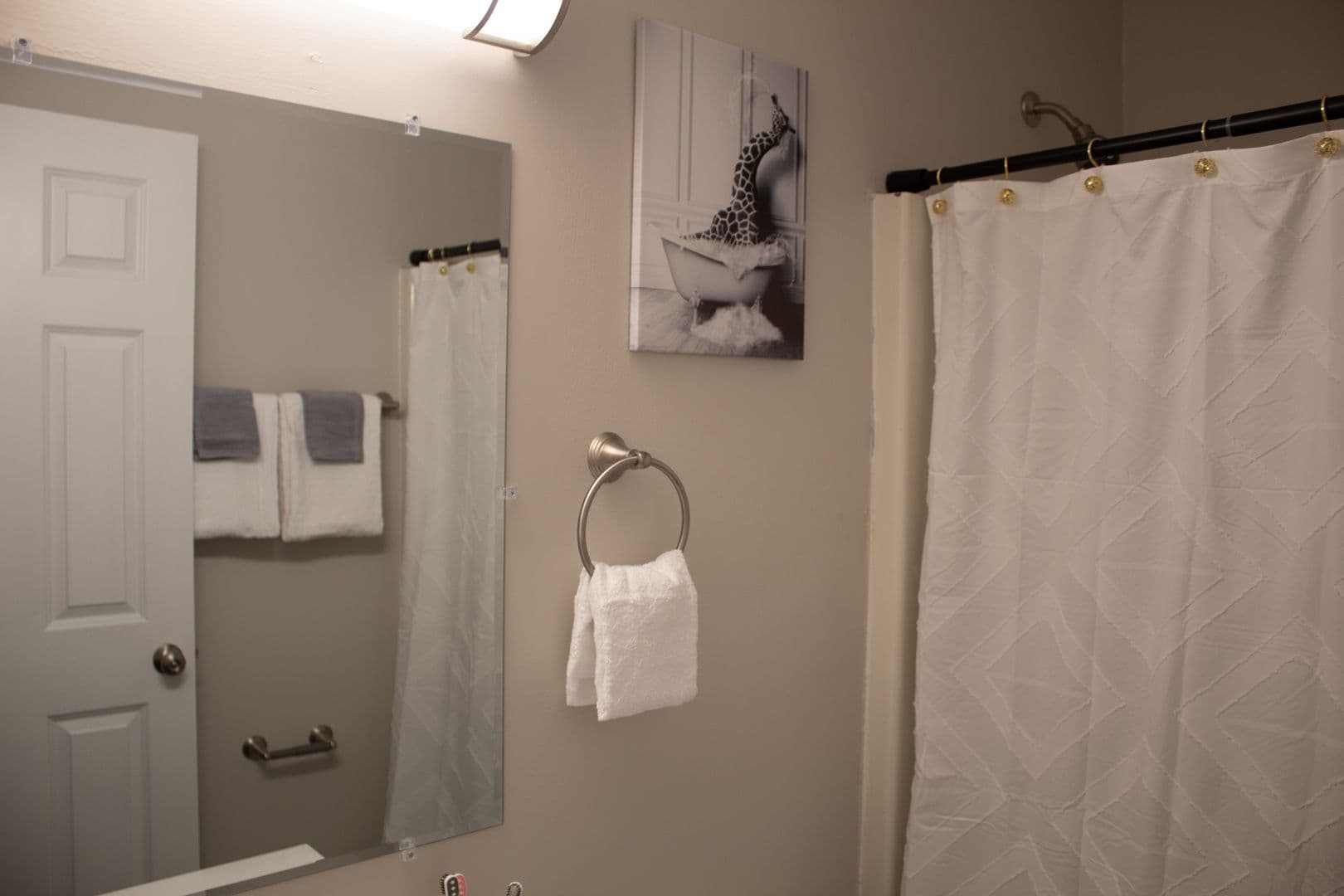 Champaign Apartment: 903 S Locust Street