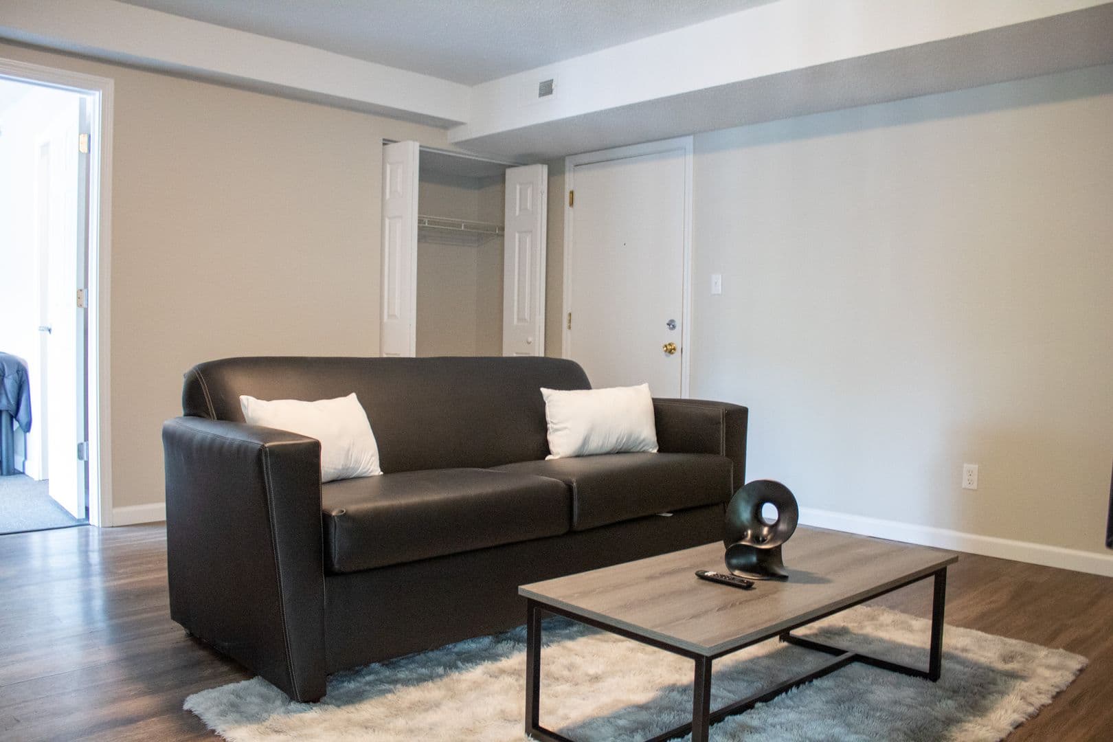 Urbana Apartment: 402 N Gregory Street