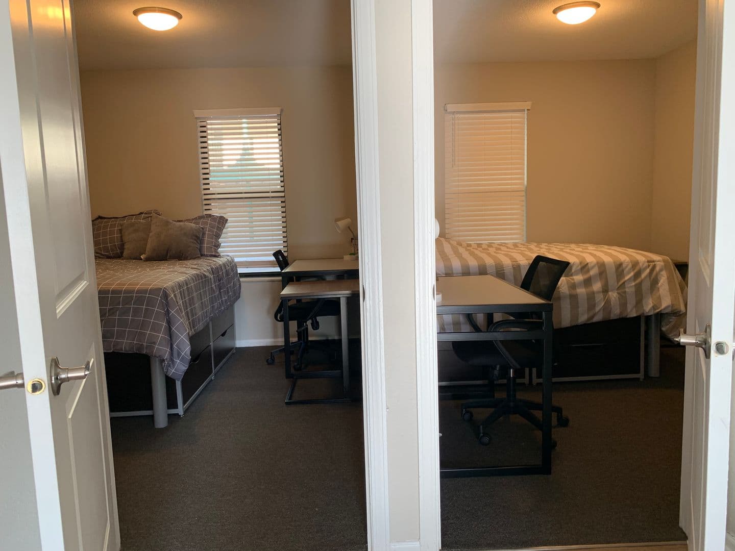 Champaign Apartment: 408 E Healey St