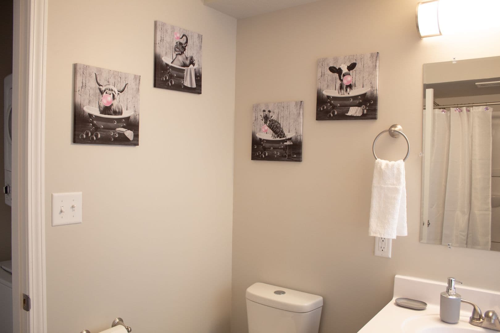 Champaign Apartment: 903 S Locust Street