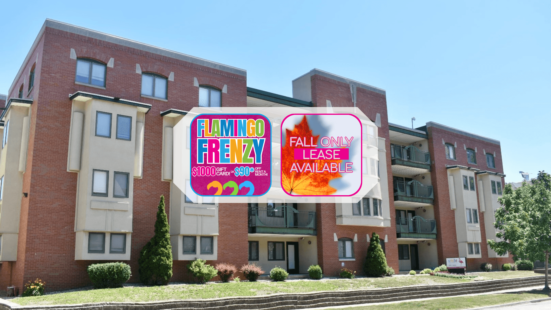 Champaign Apartment: 408 E Healey St