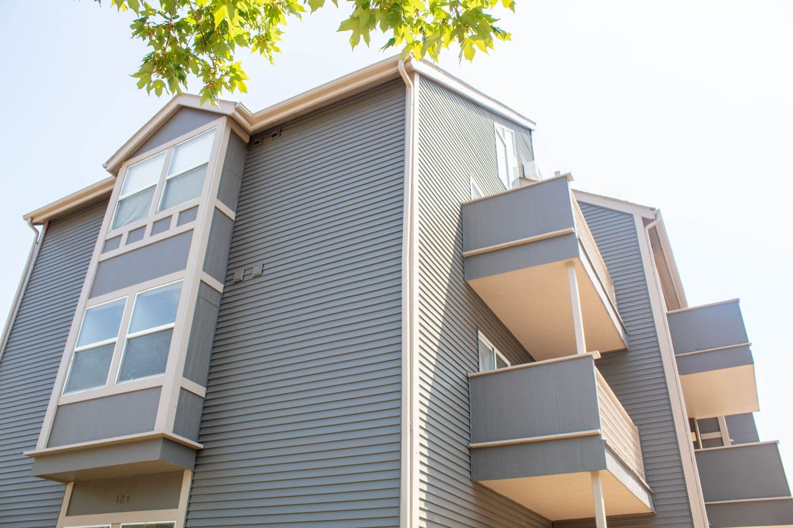 Champaign Apartment: 103 E Chalmers Street