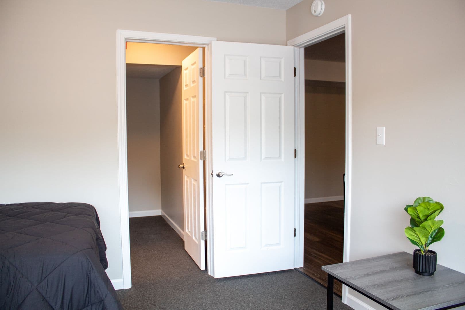 Urbana Apartment: 402 N Gregory Street