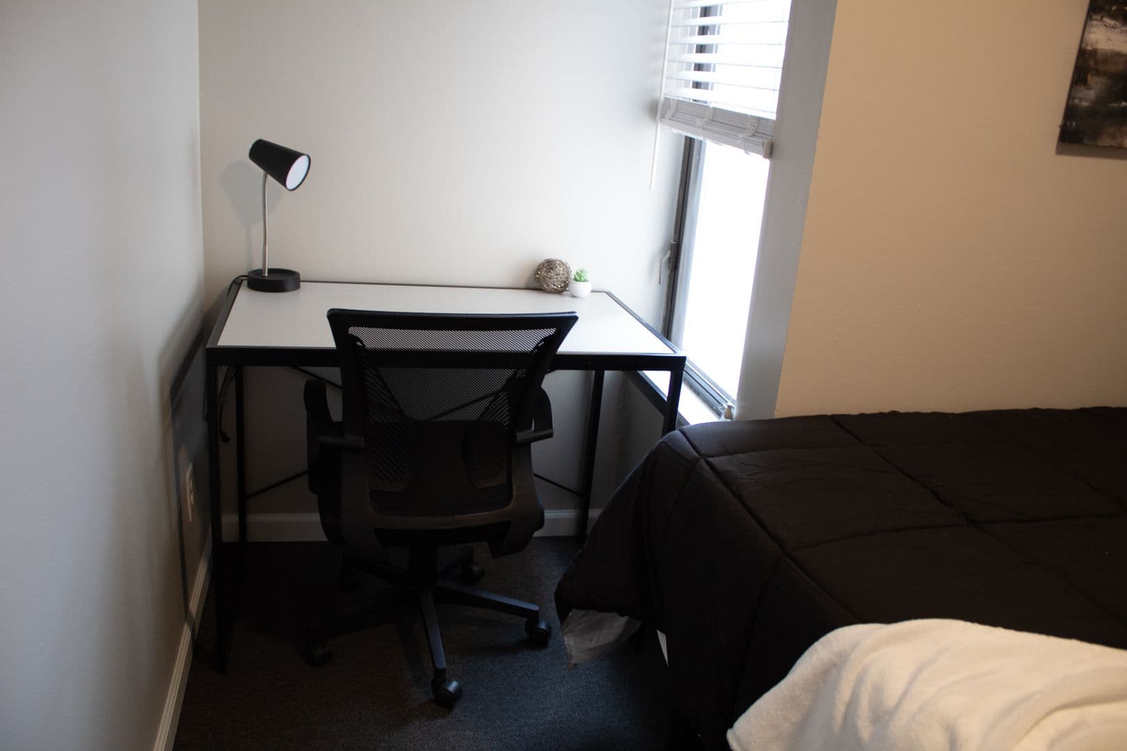 Champaign Apartment: 903 S Locust Street