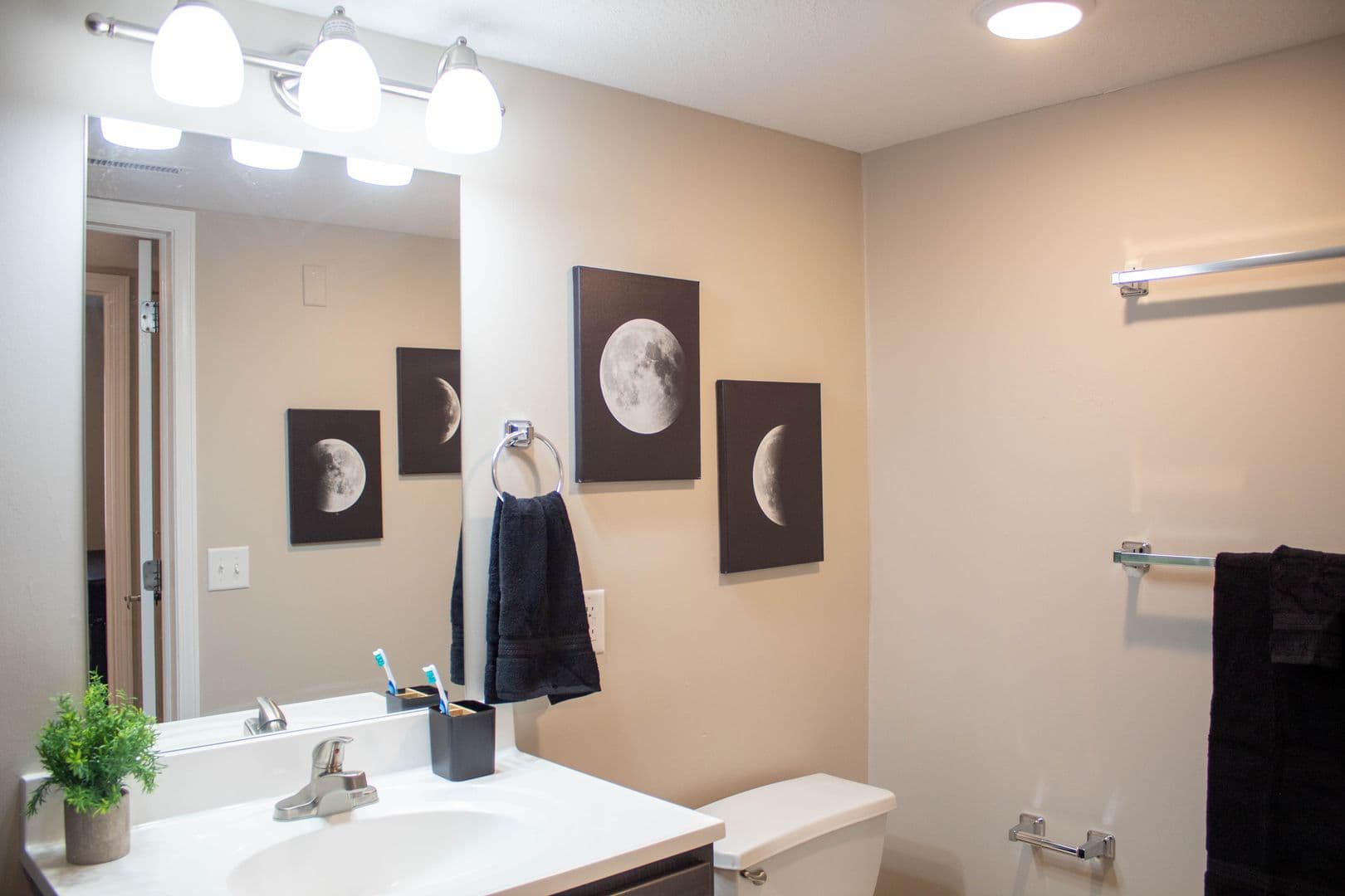Urbana Apartment: 1010 W Stoughton