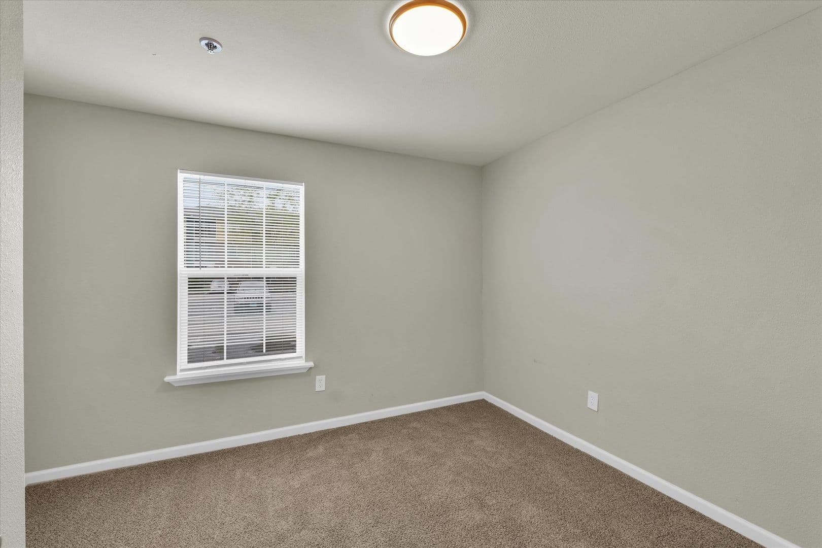 Savoy Apartment: 117 Sterling Ct