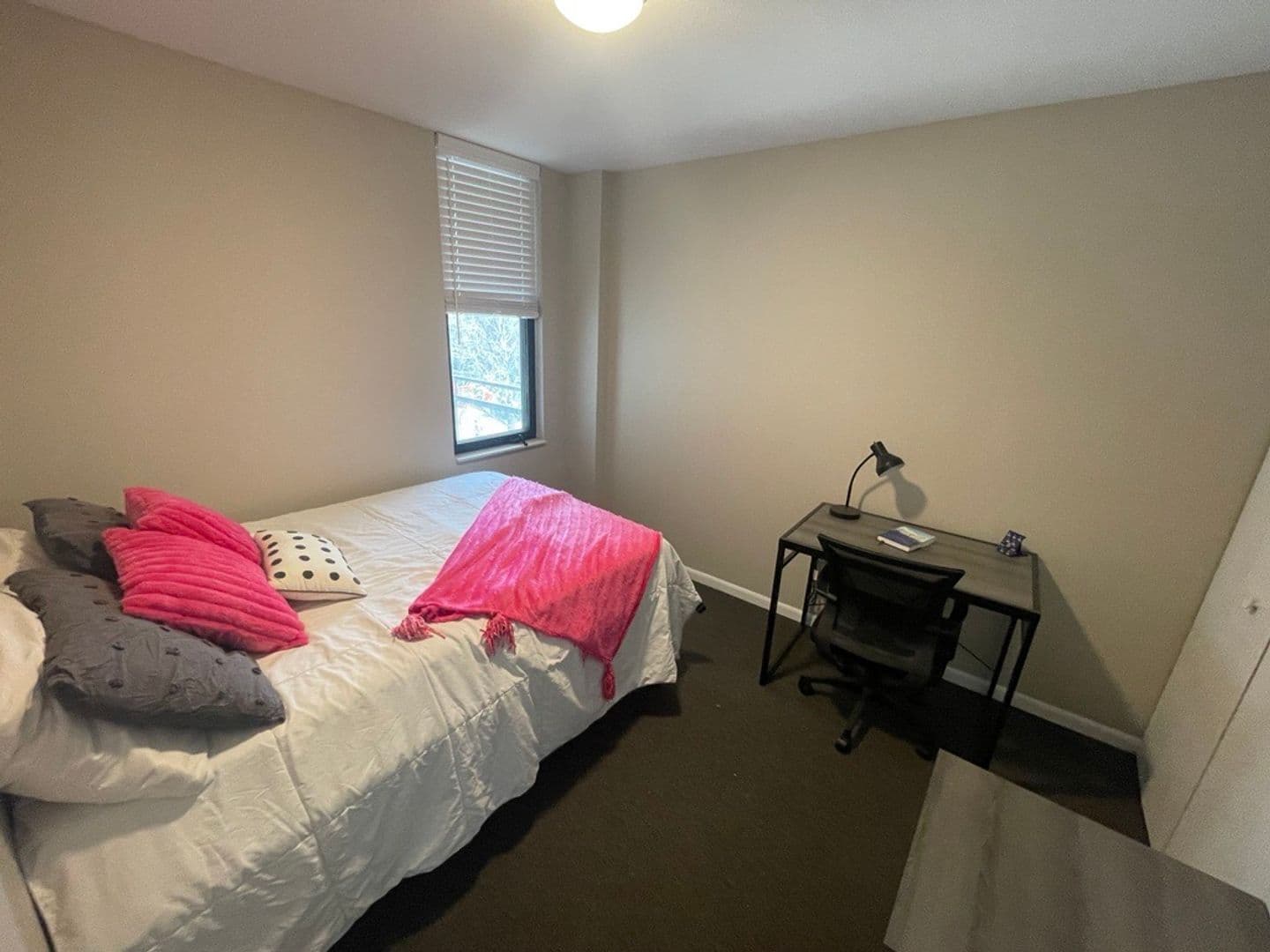 Champaign Apartment: 304 E Daniel