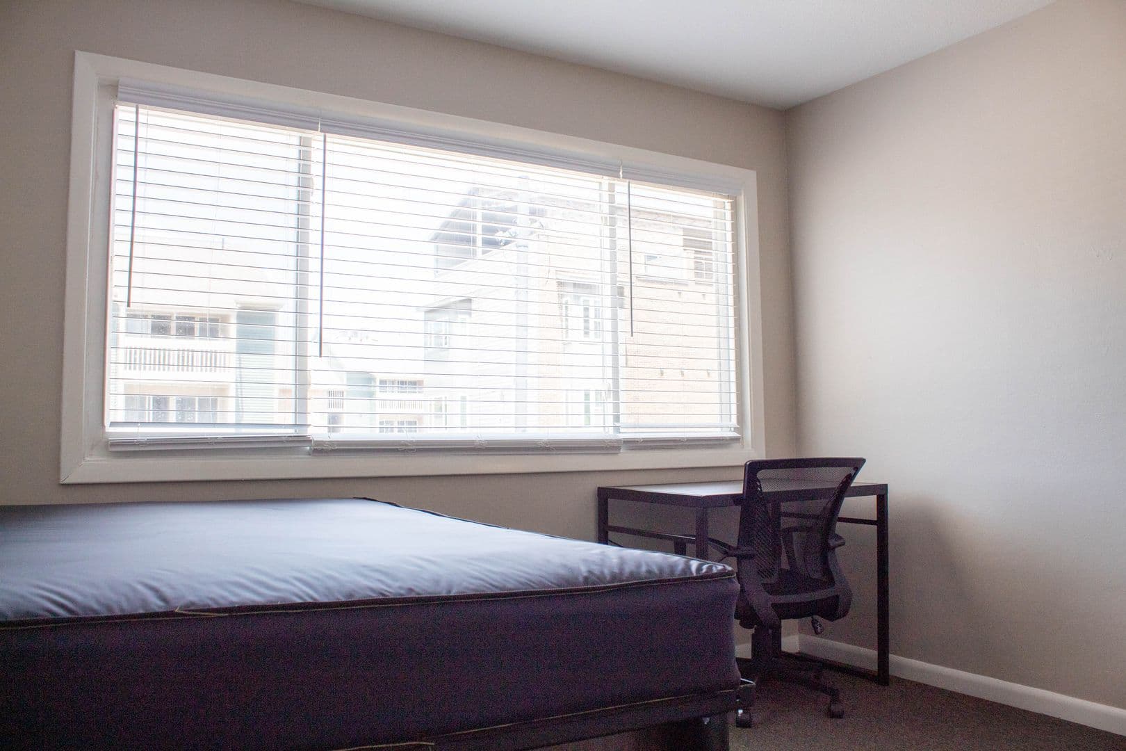 Champaign Apartment: 108 E Healey Street
