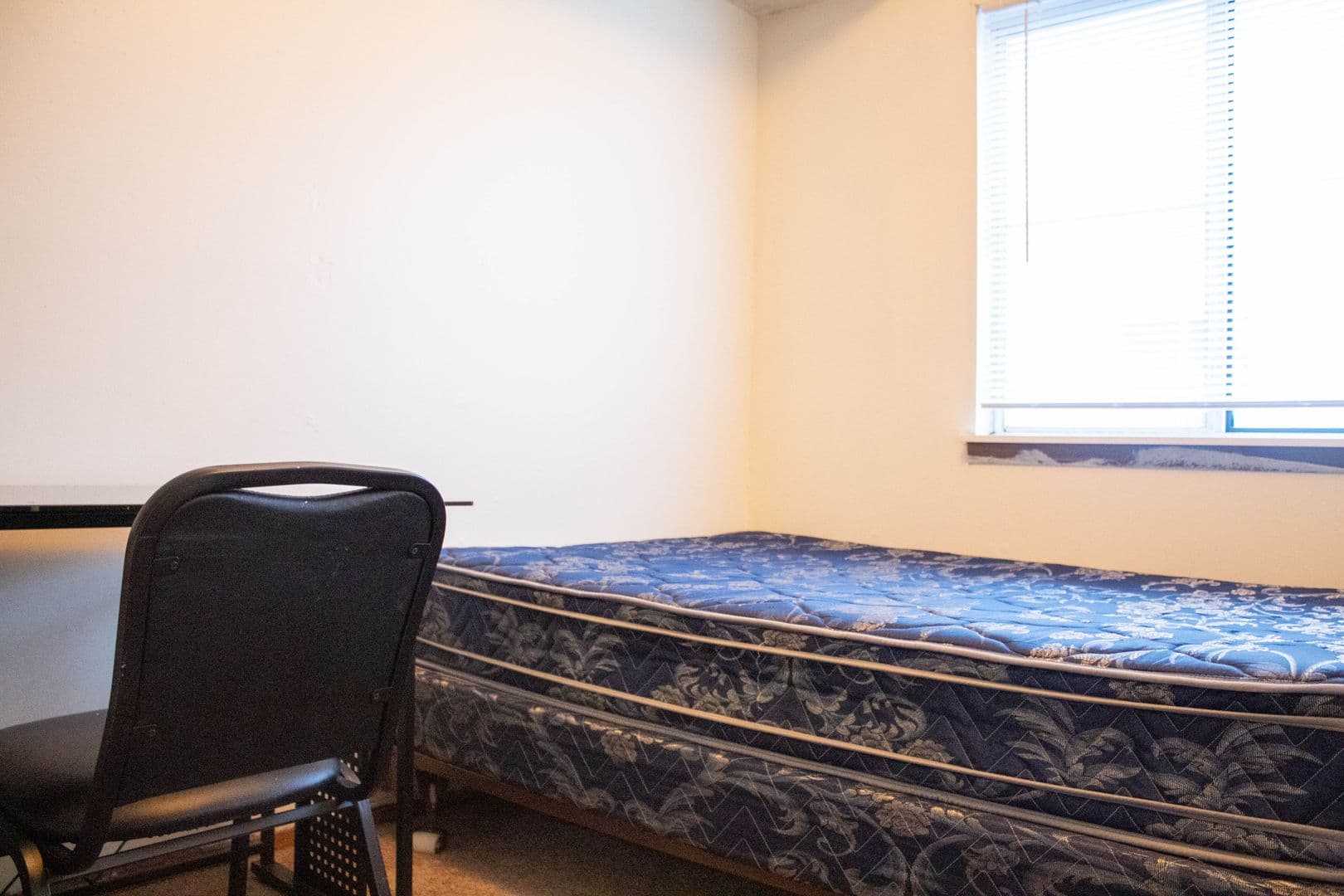 Urbana Apartment: 907 W Oregon