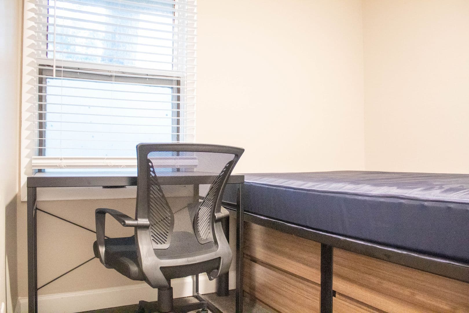 Champaign Apartment: 608 E White Street