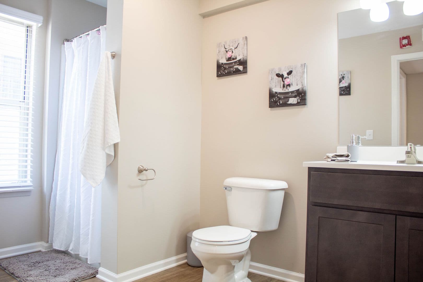 Champaign Apartment: 48 E John