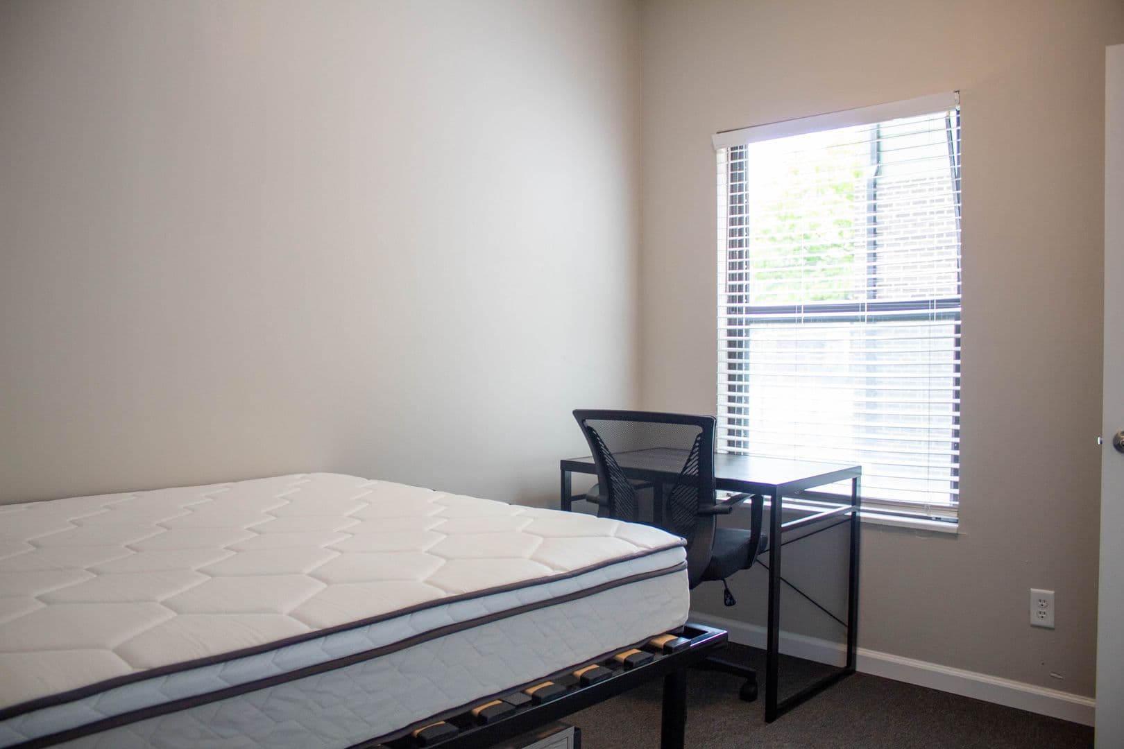 Champaign Apartment: 507 S Fourth