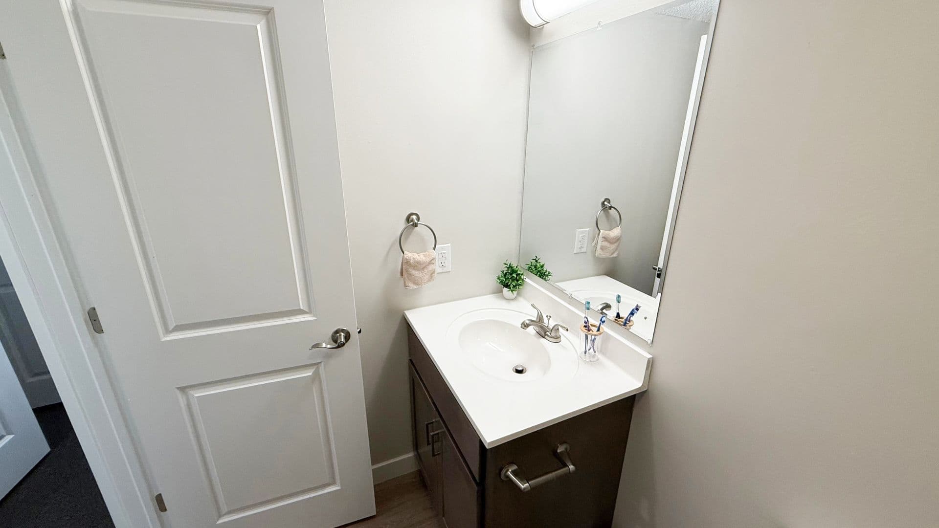 Urbana Apartment: 104 N Lincoln Ave