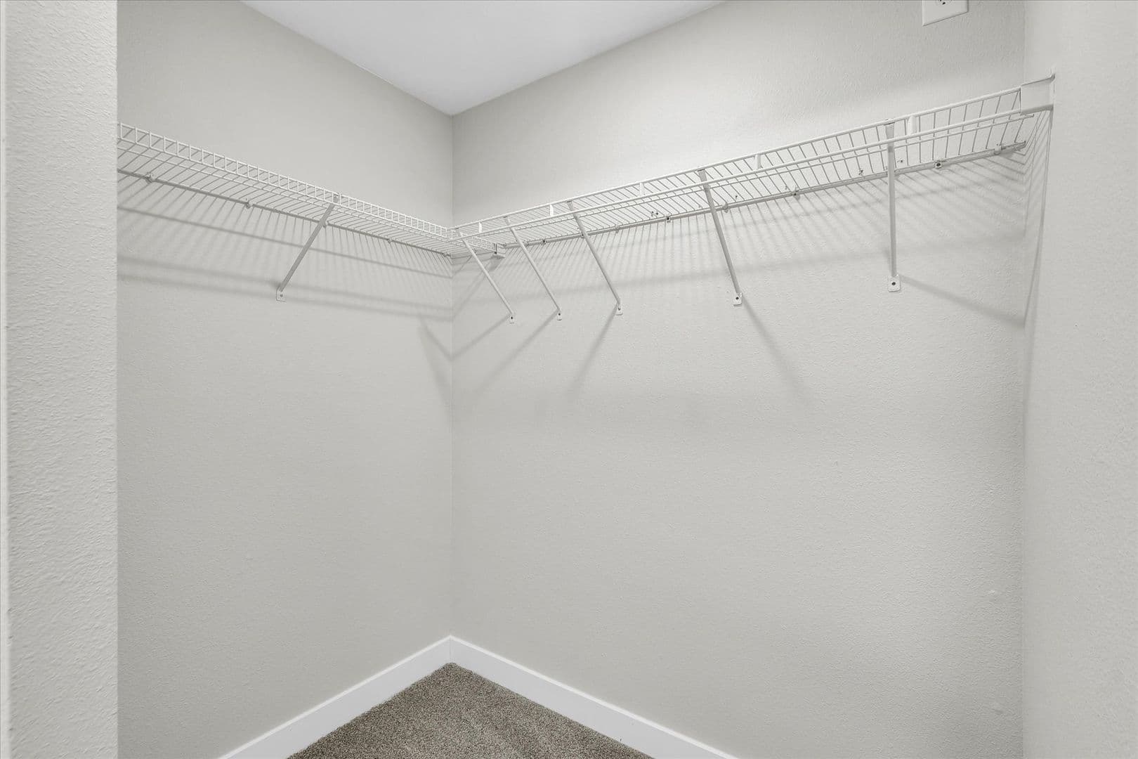 Savoy Apartment: 117 Sterling Ct
