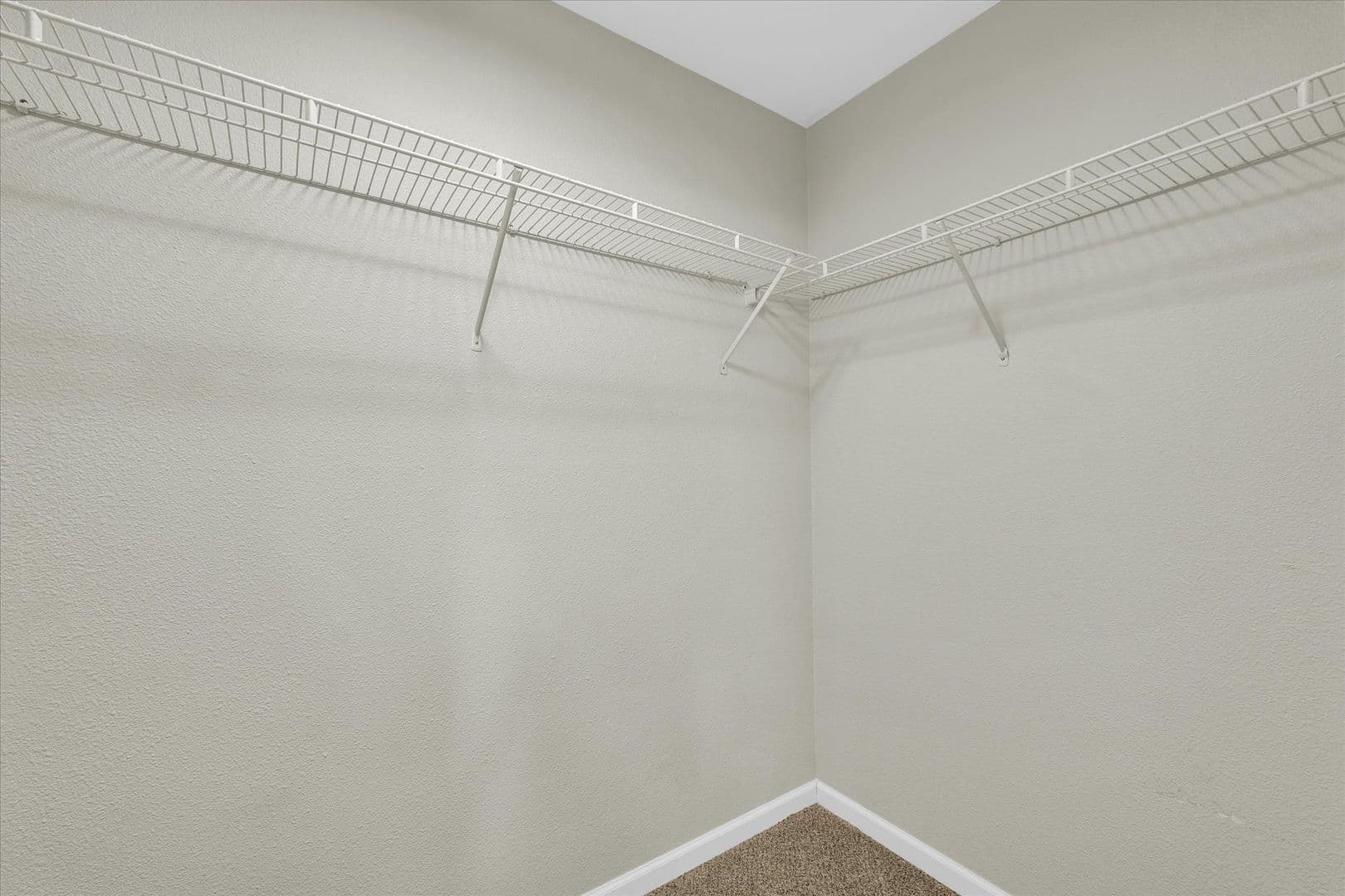 Savoy Apartment: 117 Sterling Ct