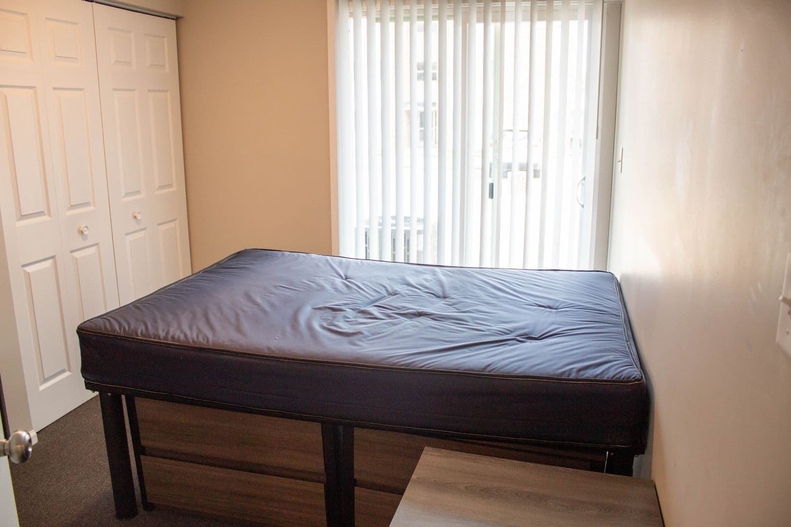 Champaign Apartment: 107 E Springfield Avenue
