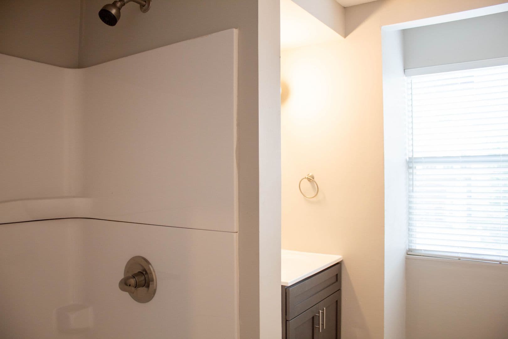 Champaign Apartment: 103 E Chalmers Street