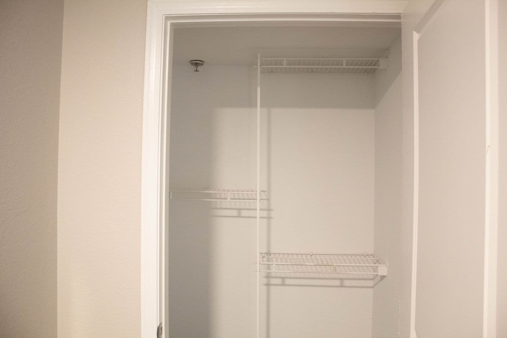 Champaign Apartment: 408 E Healey St