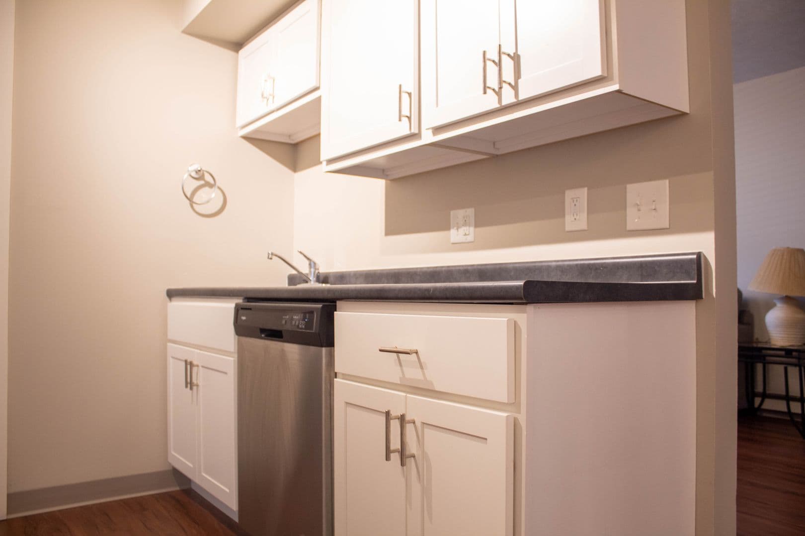 Urbana Apartment: 1001 W Clark