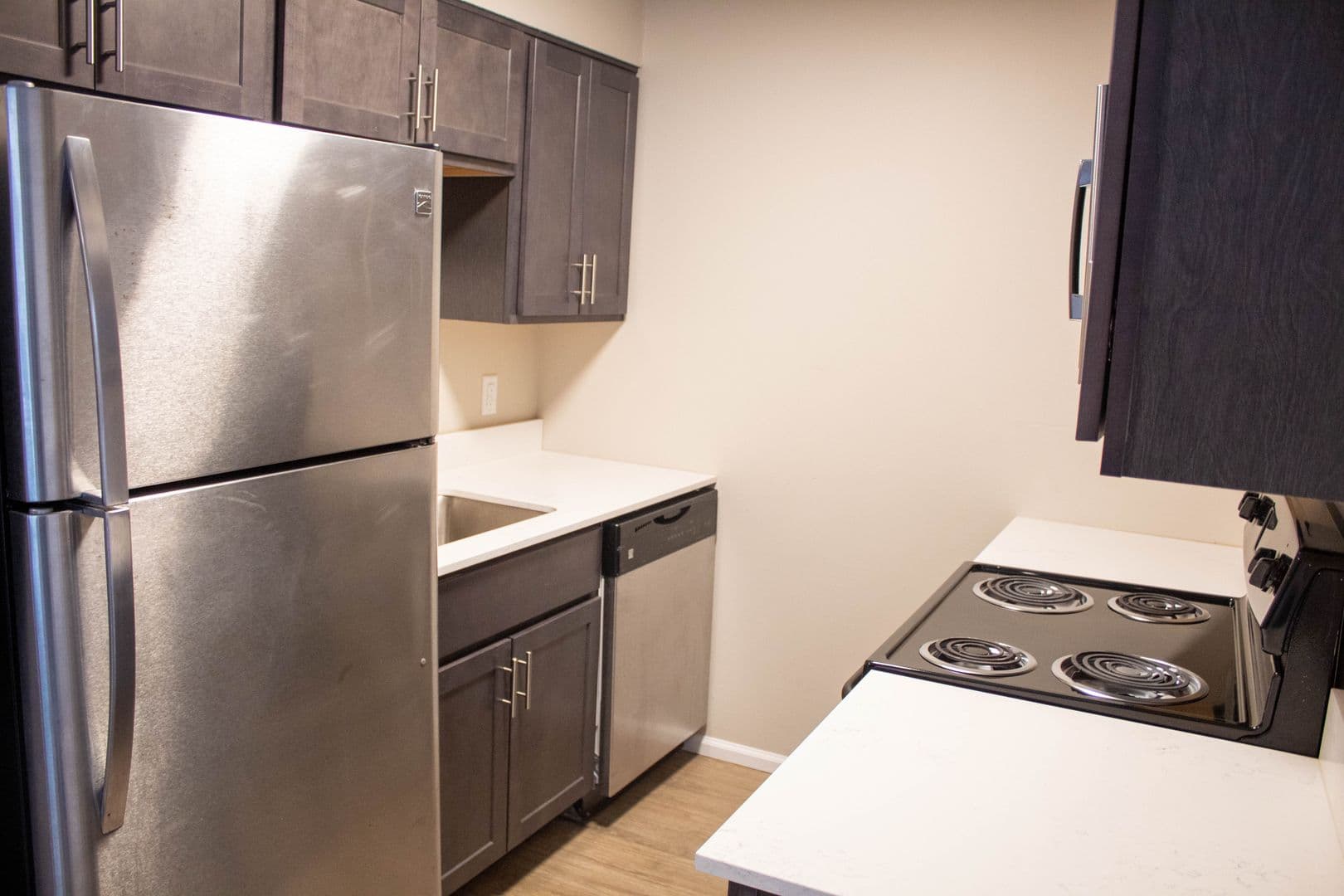 Champaign Apartment: 107 E Springfield Avenue