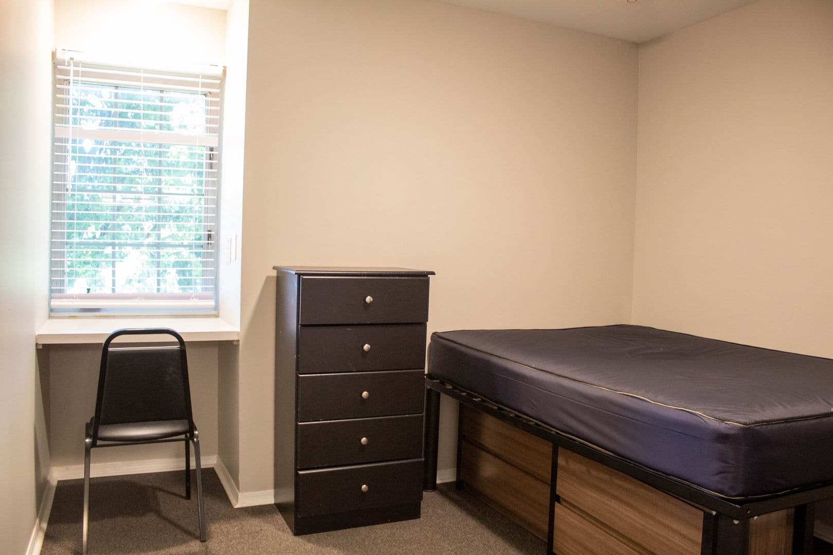 Urbana Apartment: 812 W Nevada Street