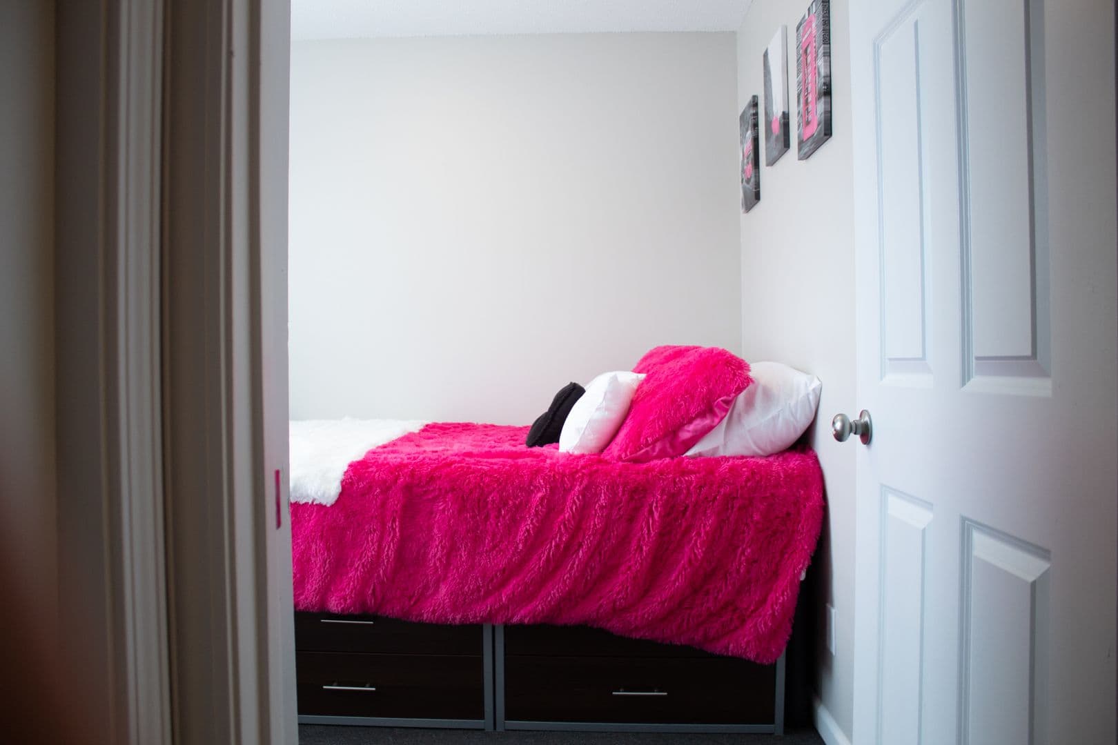 Champaign Apartment: 909 S Locust Street
