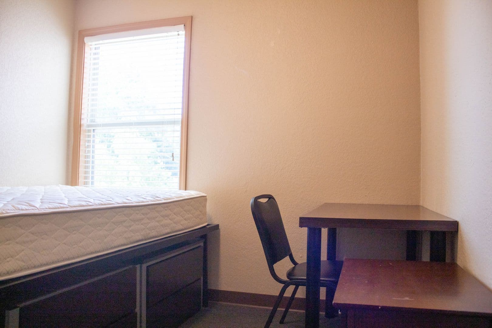 Champaign Apartment: 207 S Fifth