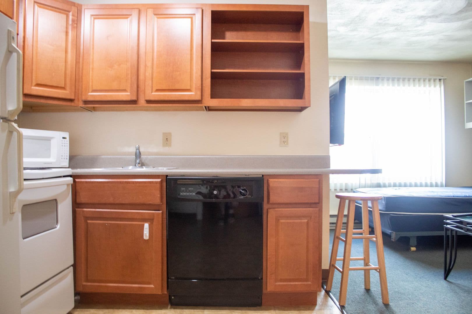 Champaign Apartment: 507 E Clark