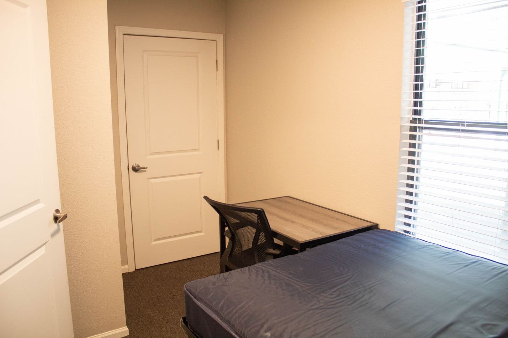 Champaign Apartment: 408 E Healey St