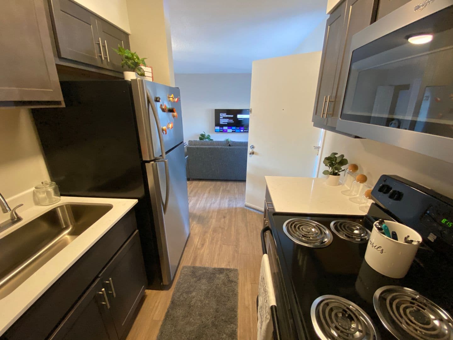 Champaign Apartment: 107 E Springfield Avenue